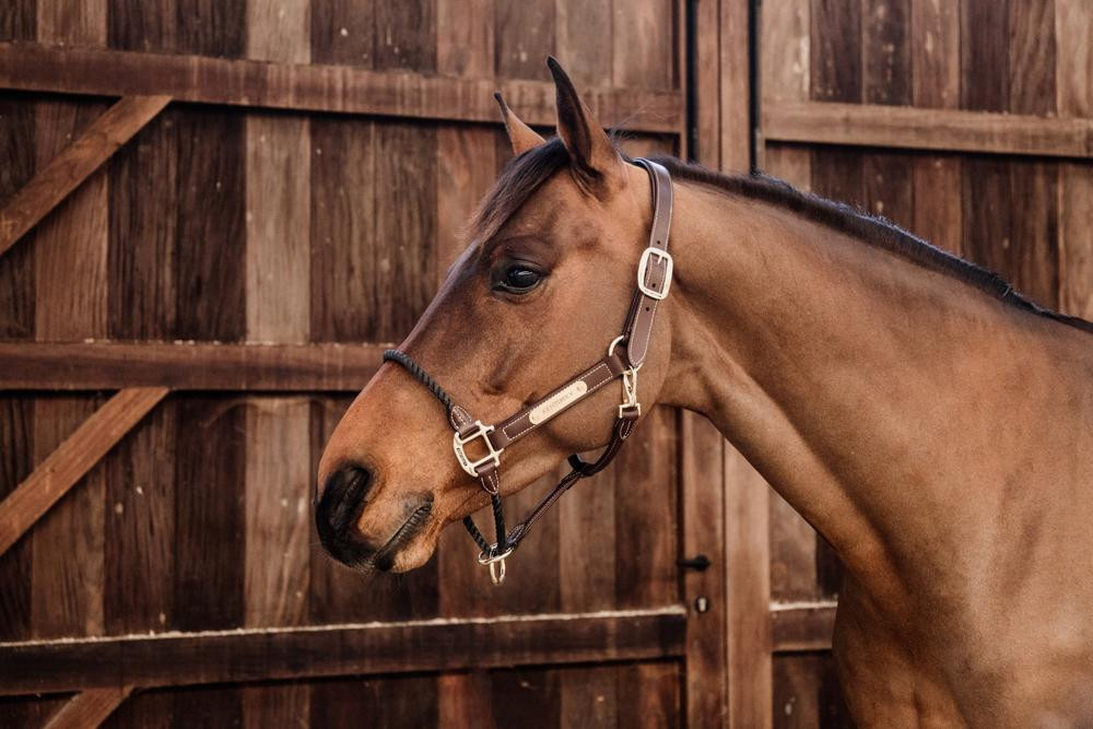 Cabezada de cuerda de cuero Kentucky Castaño Marrón