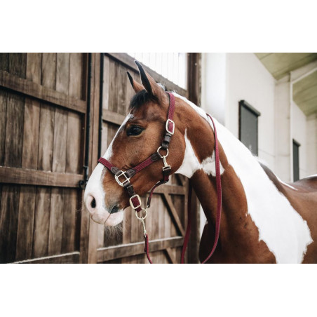 Longe trenzada de nailon Kentucky