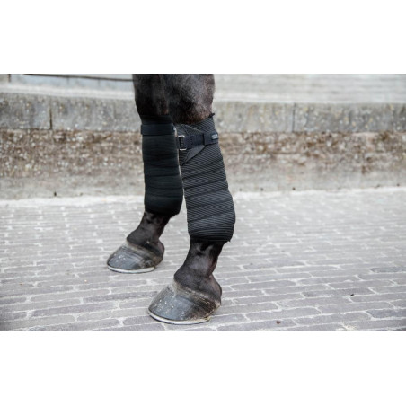 Vendas de polo Polar Fleece y Elástico Kentucky