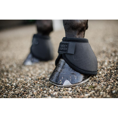 Campanas protectoras de glomos Kentucky