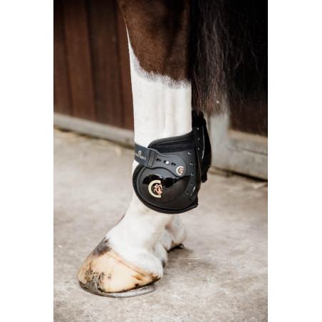 Protectores de menudillo elásticos Moonboots Kentucky