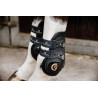 Protectores de menudillo Moonboots Max elásticos Kentucky - Negro