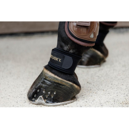 Protectores de menudillo Kentucky