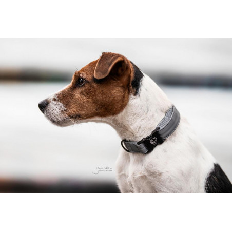 Collar reflectante para perro Kentucky