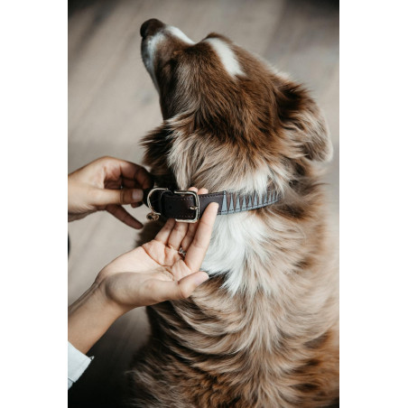 Collar para perro Triangle Kentucky