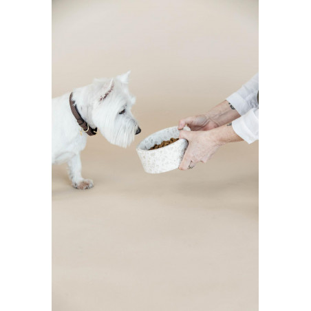 Cuenco para perro de piedra Terrazzo Kentucky