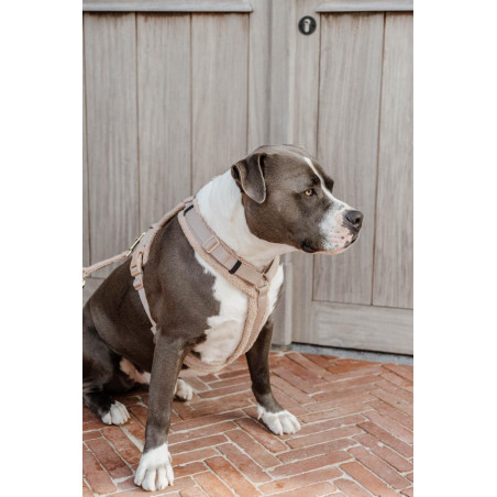 Arnés para perro Active Teddy Fleece Kentucky