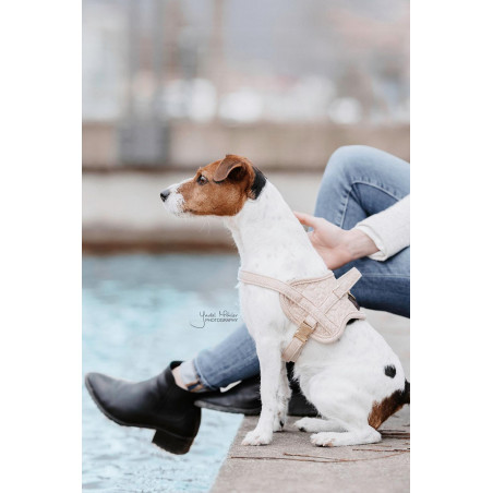 Arnés para perro Body Safe Wool Kentucky