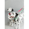Correa para perro Jacquard Kentucky - Rosa