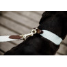 Correa para perro Jacquard Kentucky - Azúl claro