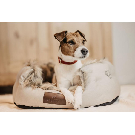 Cama para perro Cave Kentucky