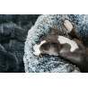 Cama para perro confort Donut Kentucky - Gris