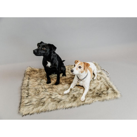 Cama para perro Fuzzy to go Kentucky