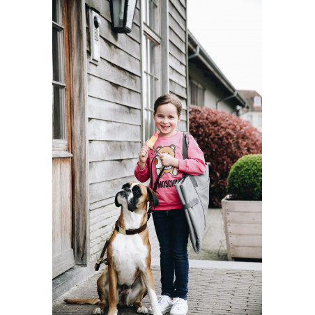 Cama para perro Travel In Style Kentucky