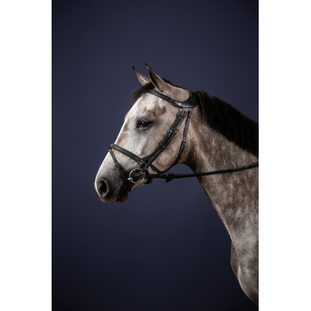 Brida Différence New English Collection de Dy'on