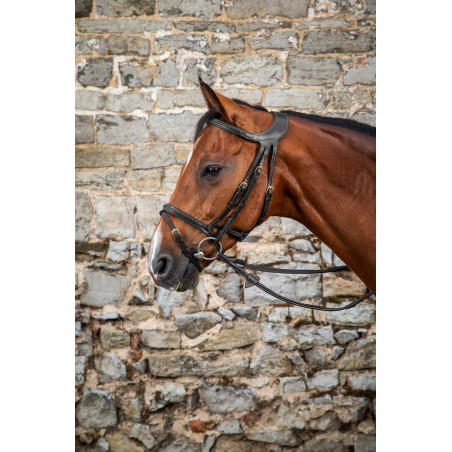 Brida Différence D Collection por Dy'on