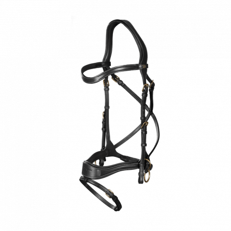 Brida D Motion D Collection de Dy'on