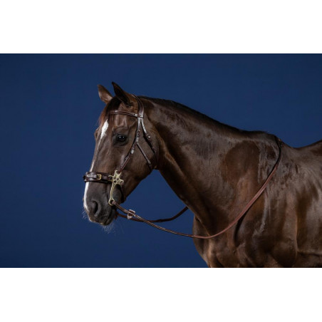 Brida Hackamore Colección US de Dy'on