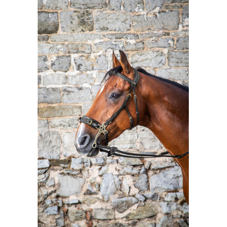 Brida Hackamore D Collection de Dy'on