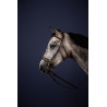 Hackamore Bridon New English Collection de Dy'on - Marrón