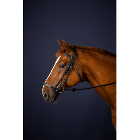 Brida Muserola Alemana Ajustable New English Collection by Dy'on