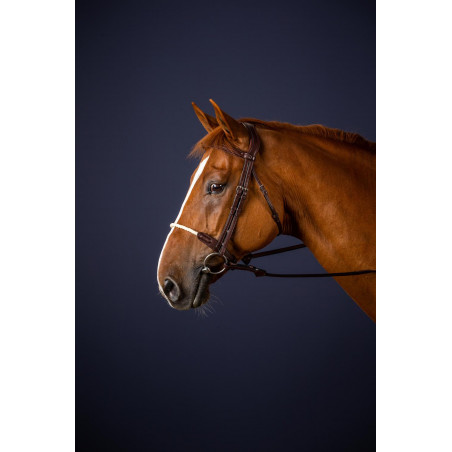 Brida Muserola Cuerda New English Collection by Dy'on