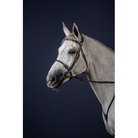 Cabezada Muserola Cuerda Recubierta de Cuero New English Collection by Dy'on