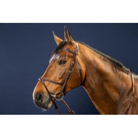 Brida X-Fit D Collection de Dy'on