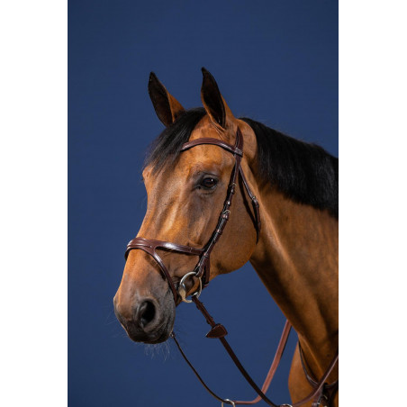 Brida X-Fit New English Collection de Dy'on