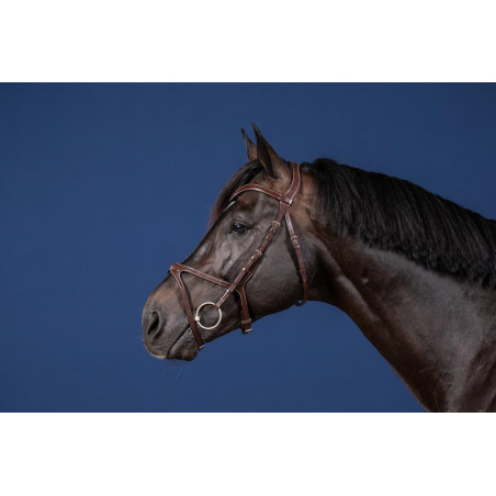 Brida X-Fit Colección US de Dy'on