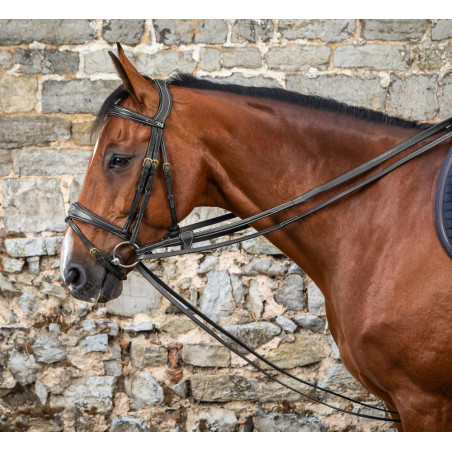 Riendas alemanas Full Leather 1/2 D Collection by Dy'on