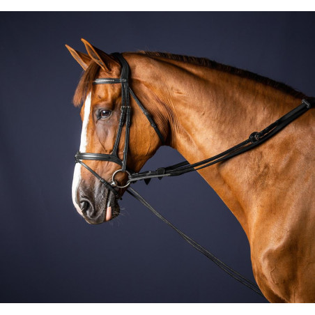 Riendas alemanas de cuero/nylon 5/8 New English Collection by Dy'on