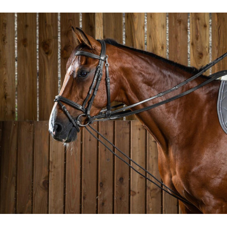 Riendas alemanas de cuero/nylon 5/8 Working de Dy'on
