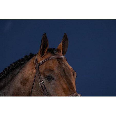 Frontal Derecho US Collection by Dy'on