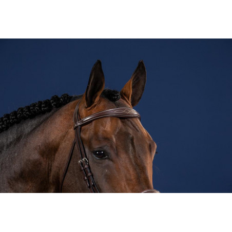 Frontal Derecho Anatómico US Collection por Dy'on