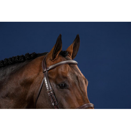 Frontal Derecho Clincher Plateado Colección US de Dy'on