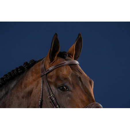 Frontal Derecho Sin Pasadores Colección US de Dy'on