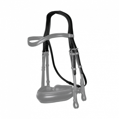 Cabezada tipo doma New English Collection by Dy'on