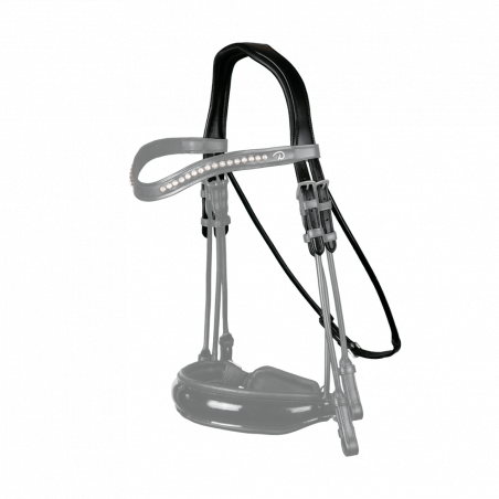 Cabezada tipo doma Dy'on