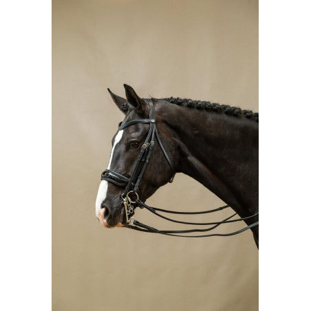 Cabezada Muserola Ancha Brillante Working By Dy'on