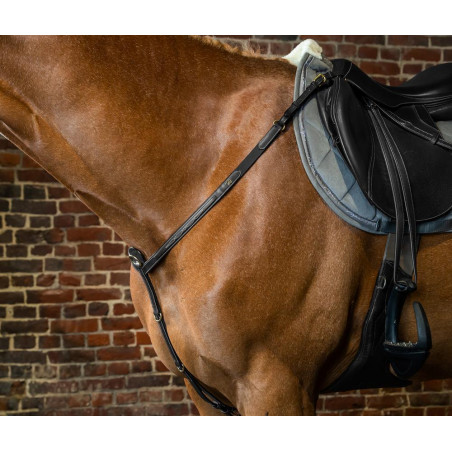 Pechopetral D Collection de Dy'on