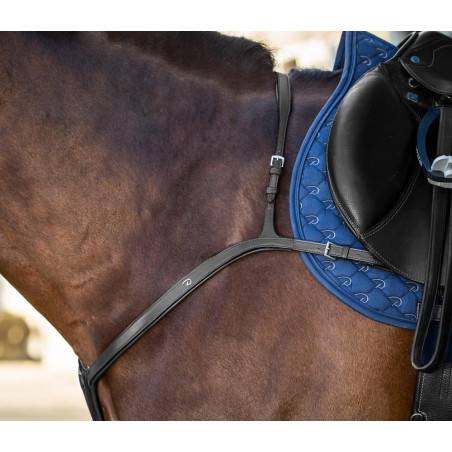 Pechopetral de Puente Largo New English Collection by Dy'on