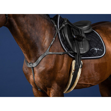 Pechopetral Anatómico Colección US de Dy'on