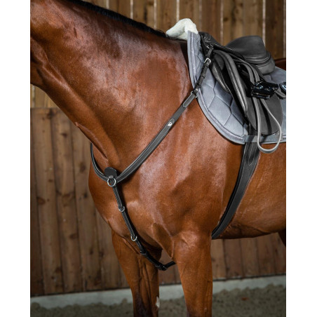 Pechopetral Working de Dy'on