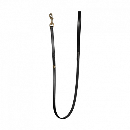 Correa Clásica para Perro Dy'on