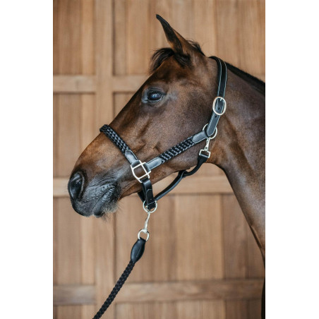 Cabezada trenzada Working By Dy'on