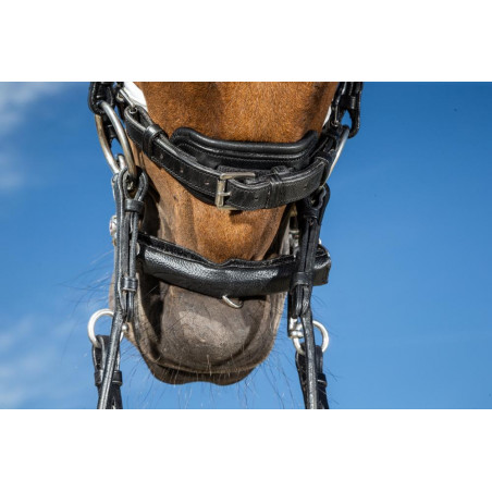 Protector de barbada con neopreno Dy'on