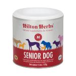 senior dog