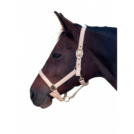 Cabezada Canter Malibu