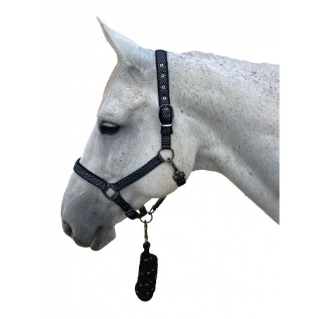 Conjunto de cabezada de cuadra + cuerda Sonoma Canter